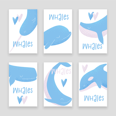 Vector card with blue whale, sperm whale, narwhal, killer whale and humpback whaleのイラスト素材