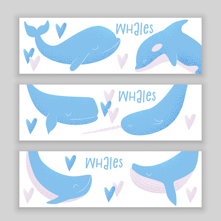 Vector card with blue whale, sperm whale, narwhal, killer whale and humpback whaleのイラスト素材