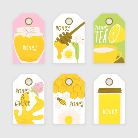 Honey and ginger design concept, vector honey comb and bee, sliced ginger root.のイラスト素材