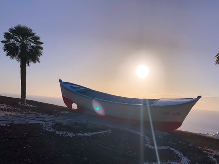 Boat and palm tree on sunset. Tenerife. Los Gigantesの写真素材