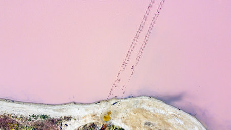 The pink lake - stock photo. View from the droneの写真素材
