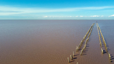 The pink lake - stock photo. View from the droneの写真素材