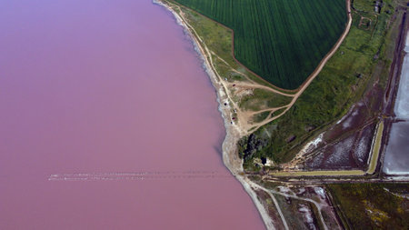 The pink lake - stock photo. View from the droneの写真素材
