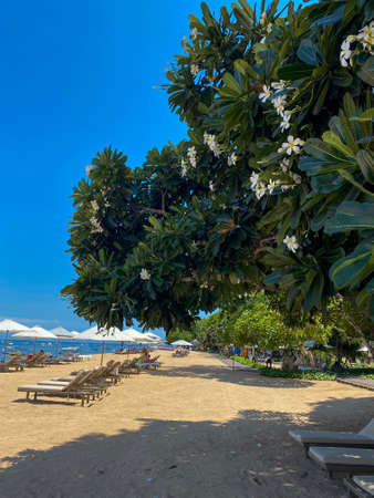 Stunning beautiful beach with relaxing scenery on a beach. Famous travel destination in Sanur, Bali, Indonesia. - stock photo. High quality photoの写真素材