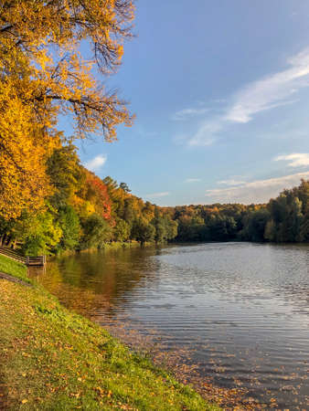 Colourful Nature: Autumn Beauty in the Park - stock photoの写真素材