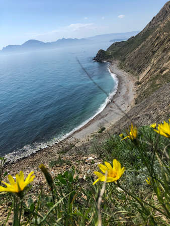 Scenic View Of a meadow grass and flowers of colours by the sea against skyの写真素材