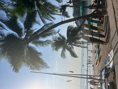 Paradise tropical Sunny beach and coconut palms. High quality photoの写真素材