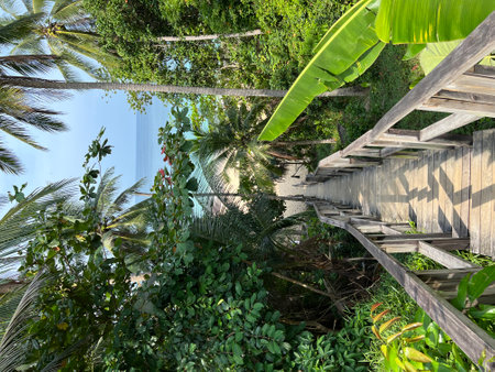 Beautifull of Wooden bridge at Nai Thon beach, Phuket, Thailand. High quality photoの写真素材