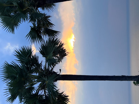 Silhouette coconut palm trees in beautiful sunset or sunrise sky over sea,Amazing light nature colorful clouds landscape,Beautiful light nature sky and clouds seascape,Sky clouds background. High quality photoの写真素材