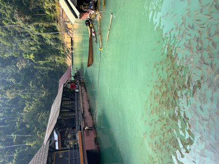 Karst mountains above clear blue water in Khao Sok national park, Cheo Lan lake, Thailand. Beautiful view. High quality photoの写真素材