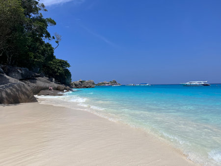 Beautiful beach and crystal clear sea at tropical island. Panorama of a beautiful tropical sandy beach and lush green foliage on a tropical island (Koh Similan). High quality photoの写真素材