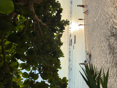 Tropical beach with palm trees at sunset, Koh Samui, Thailandの写真素材