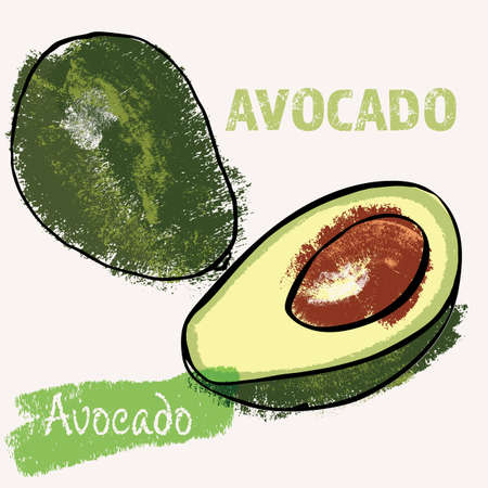 Avocado line art and color hand-drawn vector illustration. Rough crayon strokes doodle in an...