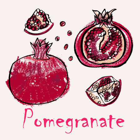 Pomegranate line art and color hand-drawn vector illustration. Rough crayon strokes doodle in an expressive loose coloring book styleのイラスト素材