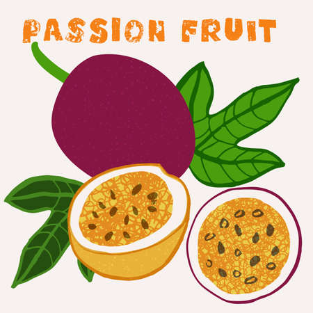 Passion fruit vector illustration. Colorful textured modern design.のイラスト素材