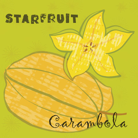 Starfruit vector illustration. Colorful textured modern design.のイラスト素材