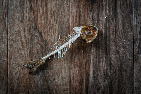 Fish bone on rustic wooden background. の写真素材