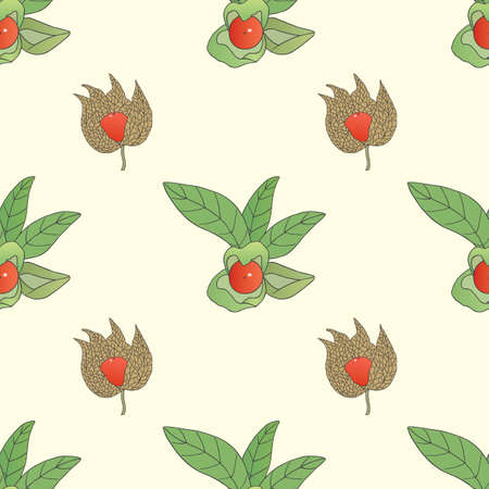 Medicinal herbs collection. Vector seamless pattern with a plant ashwagandha on a light backgroundのイラスト素材