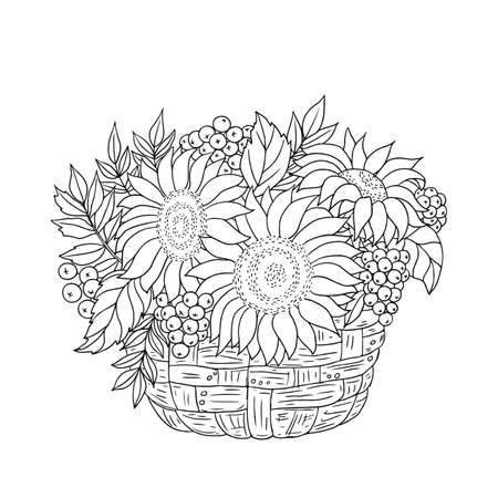 Autumn composition. Vector hand drawn illustration with sunflowers, rowanberries and leaves into a basket on a white background.のイラスト素材