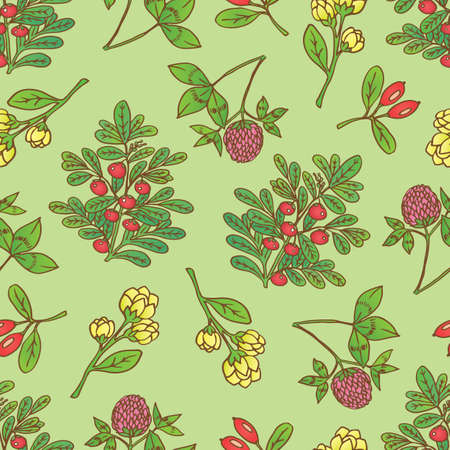 Vector hand drawn seamless pattern with medical plants barberries, bearberry, cloverのイラスト素材
