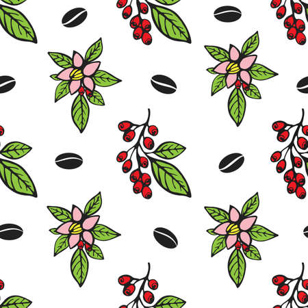 vector graphic seamless pattern with coffee flowers and berries on awhite backgroundのイラスト素材