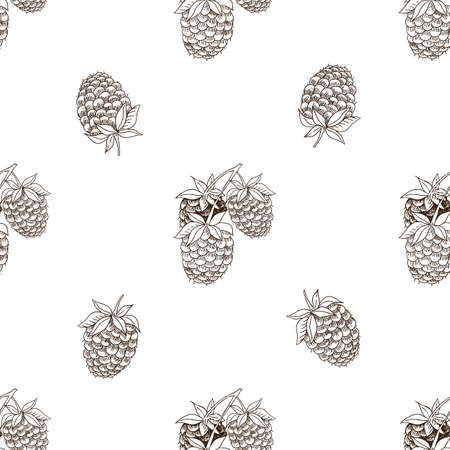 Vector graphic seamless pattern with raspberry plants on a white backgroundのイラスト素材