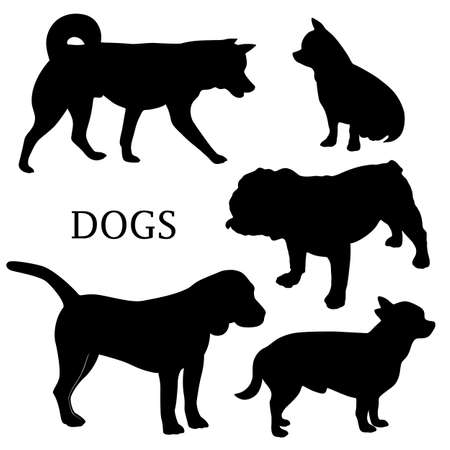 Vector dog illustrations. Set of black silhouettes. Different breeds of dogs.のイラスト素材