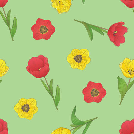 vector seamless pattern with spring flowers tulips on a light green backgroundのイラスト素材