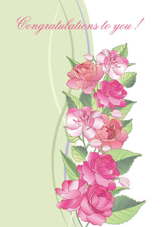 vector illustration. Beautiful greeting card with blooming balsam flowersのイラスト素材