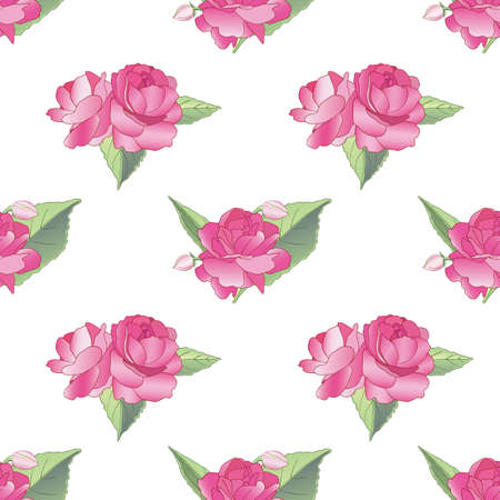 Vector floral seamless pattern with beautiful pink balzamin flowers on a white backgroundのイラスト素材