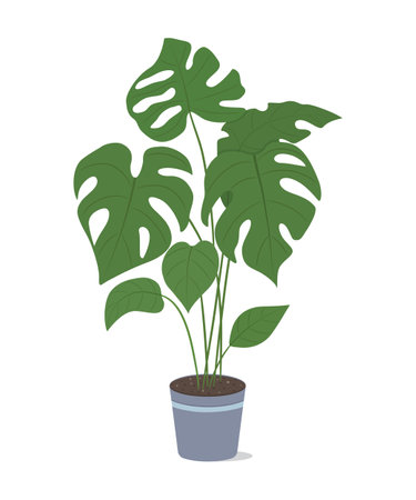 vector graphic illustration with tropical green plantのイラスト素材