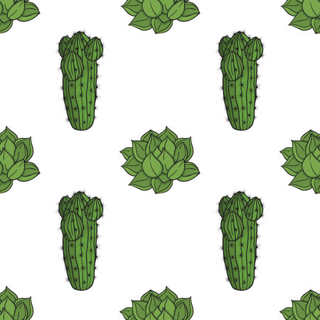 vector graphic seamless pattern with cactus and echeveriaのイラスト素材