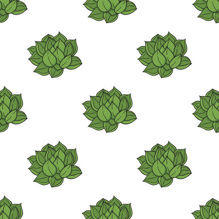 vector graphic seamless pattern with cactus and echeveriaのイラスト素材