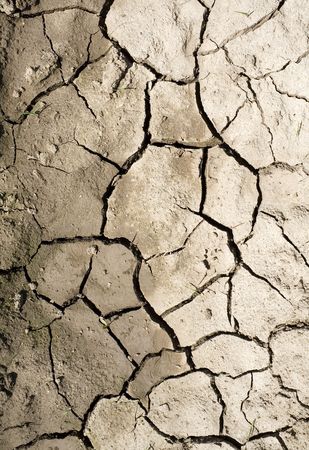 Cracked, parched land after a drought の写真素材