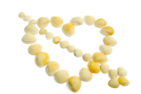 heart whth seashell on the whiteの写真素材