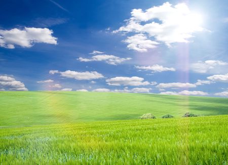 Green grass under blue skyの写真素材