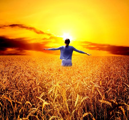 field of yellow wheat and cloud in the sky の写真素材