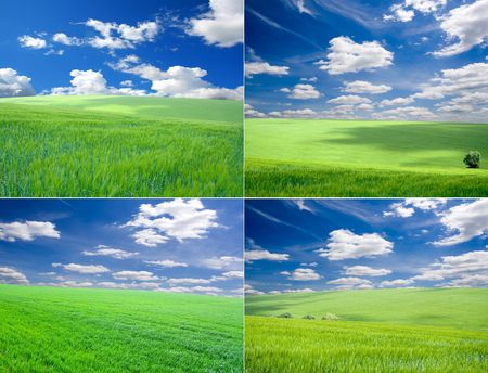 collection grenn meadows under blue sky .の写真素材