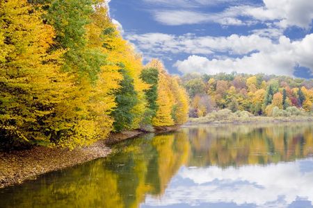 gold  autumn on the blue sky backgroundsの写真素材