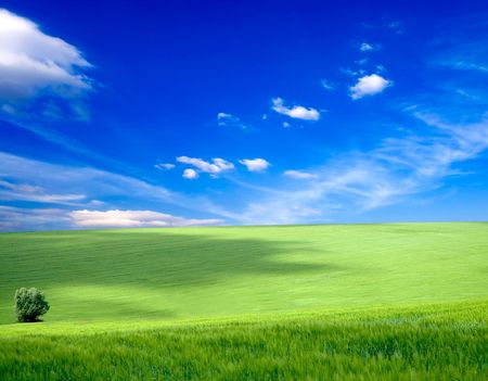 Green grass under blue skyの写真素材