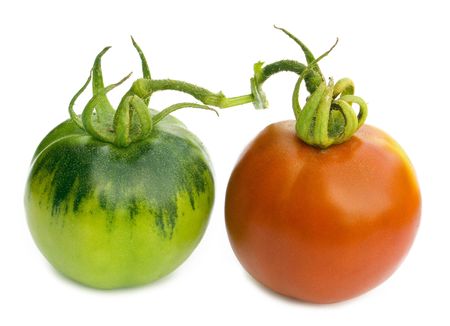 red tomato with drops isolated on white backgroundの写真素材
