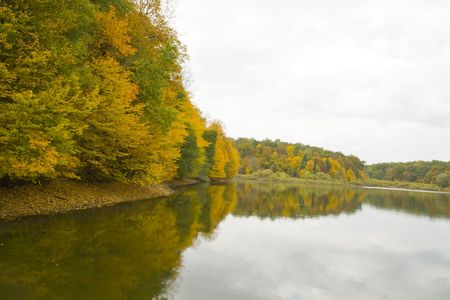gold  autumn on the blue sky backgroundsの写真素材