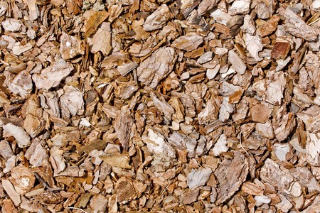 a horizontal tree bark texture 