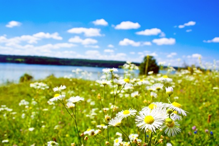 fieldの写真素材