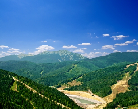 beautiful forest in the mountains. nature backgroundsの写真素材