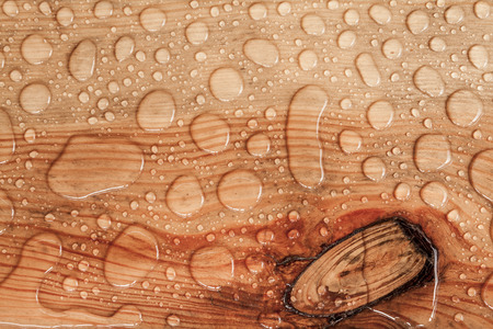 water drop on a wooden backgroundの写真素材