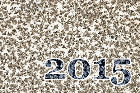 2015 year snowflakes on black backgroundの写真素材