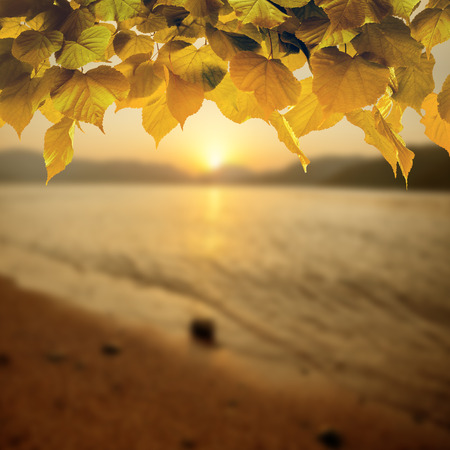 Background room interior. Fresh spring green field grass with blue bokeh and sunlight and wood floor.の写真素材