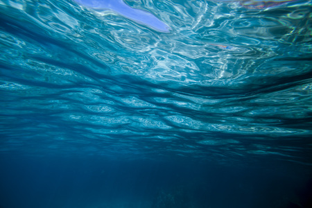 sea underwaterの写真素材