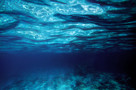 the underwater sea